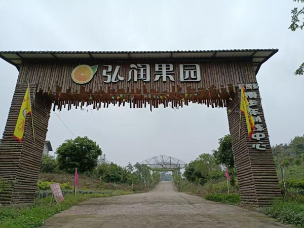 图片2.png