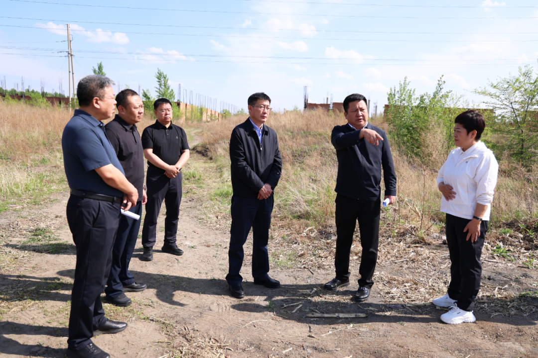 七台河市市长张涛：切实把群众身边生态环境问题解决到位