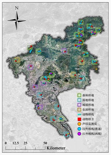 广州完成重点生物多样性样地智慧监测